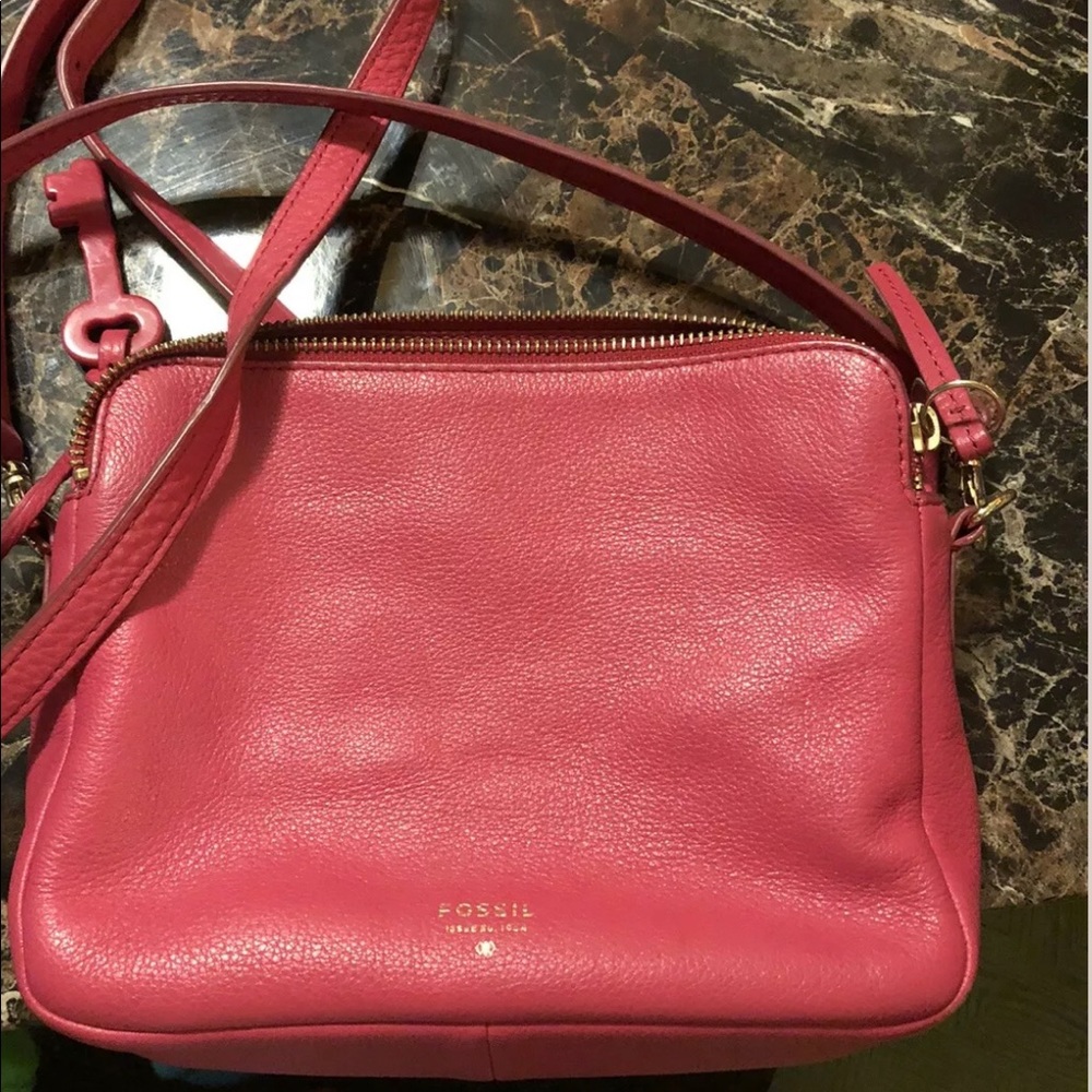 Pink Fossil Purse
